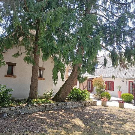 L'Escale Solognote Lägenhet Tour-en-Sologne Exteriör bild
